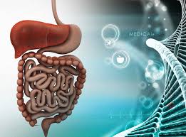 Genau wie alle anderen durchfallerkrankungen übrigens auch, denn die grünfärbung. Gi Map Stuhl Und Verdauungsanalyse Pilze Parasitologie Bakterien Viren Bauchspeicheldrusenfunktion Entzundungsparameter Glutentest Institut Fur Functional Medicine Und Umweltmedizin