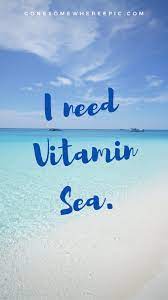 Poke fun by saying happy new year with funny quotes. 53 Funny Travel Quotes To Brighten Up Your Day