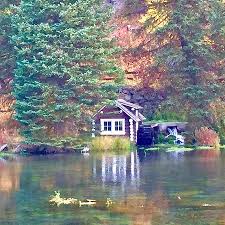 Visitor love to feed the fish. Johnny Sack Cabin Cabin