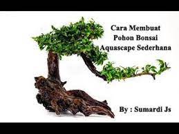 Youtube Aquascaping Pohon Bonsai Bonsai