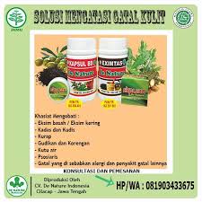 Obat Gatal Di Selangkangan Dan Alat Vital Obat Alami Eksim Kulit