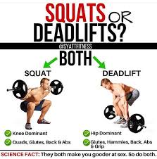 The romanian deadlift (or rdl) is a helpful exercise for a woman who wants a sleek and toned lower body. Deadlifts Vs Squats Syatt Fitness