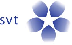 Det kan vara allt från en mindre lägenhet till en pampig gård. Svt Logopedia Fandom