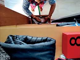 CA uses spycam to catch thieving maid in the act