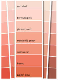 Salmon Run As A Possible Paint Color For The Bedroom Room Wall Colors Peach Bedroom Room Colors