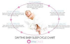 Babys Sleep At 3 6 Months Understanding Your Baby Little