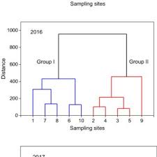 În data de 4 iulie 2020, situația epidemiologică, la nivelul județului gorj, se prezintă astfel: Iazul De Decantare Nov 1 Brea Din Baraj 10 11 Martie 2000 Foto K E Download Scientific Diagram