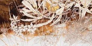 Wild Marks: Drawing with Nature