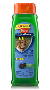 Hartz Flea Ticks On Dogs Dog Shampoo Flea And Tick Spray