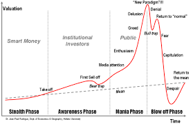 Bitcoin Phases Of A Mania And A New Paradigm