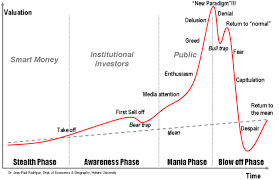 bitcoin phases of a mania and a new paradigm