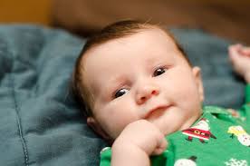 Traci Pate Photography