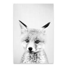 Black And White Animal Prints Framed Baby Fox Black White Metal Wall Art Print Framed Art Prints Animal Art Prints Art Prints
