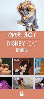 Oliver would be a great name for an orange boy cat, especially one who gets along well with dogs. Disney Names For Cats Over 30 The Most Famous Cats Disney Cat Names Cute Cat Names Boy Cat Names