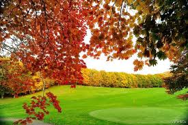 秋は何を着ていけばいいの？！ 秋ゴルフのウェアーについて。