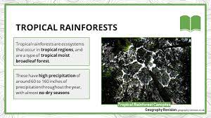 Maybe you would like to learn more about one of these? Tropical Rainforest Gcse Geography Resources Revision