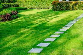 I have considered getting one but i do not want to go with a cheap mower. Best Lawn Care Treatment Weed Control Service In Cartersville Ga
