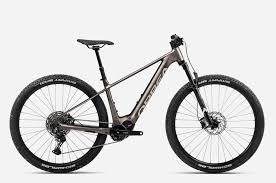 Image result for Orbea umbracula
