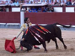 Talavante en el tablero de ajedrez (o de las damas) | mundotoro.com