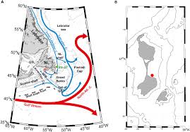 Frontiers Growth Response Of Arctica Islandica To North