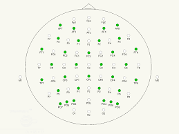 Electrode Layouts Ant Neuro