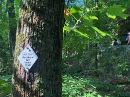 Fun day trip ideas close to me, things to do this weekend, small towns. Rainbow Mountain Nature Preserve Land Trust Of North Alabama