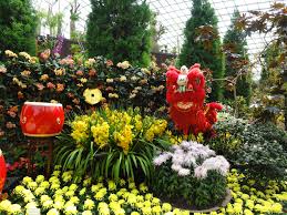 Lunar new year flowers singapore. Pin By Amy On Flower Shows In Singapore Flower Show Holiday Decor Christmas Ornaments