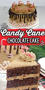 Chocolate Candy Cane Cake Cake Chocolate Flavors Rich Chocolate Cake