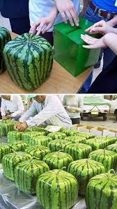 Pin On Food I Might Try
