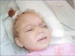 Vol. 15 Núm. 2 (2002)