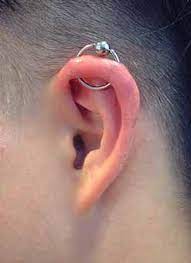 piercing gallery orbital piercing gallery orbital piercing piercing ear piercings