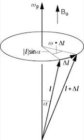 I, the copyright holder of this work, release this work into the public domain. Larmor Prazession Lexikon Der Physik