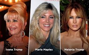 Mayolo obregón es abogada egresada de la pontificia universidad javeriana de cali, especialista en derecho. Biografia De Donald Trump Cuantos Anos Tiene Cuantos Hijos Tiene Como Era De Joven
