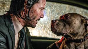 JOHN WICK 4, BLACK WIDOW