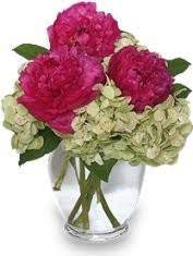 Stream on by jackson flowers from desktop or your mobile device. About Us Jo S Flowers Jackson Mi