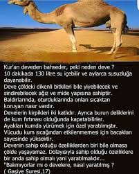 Nese Nin Gozdeleri Biliyor Muydunuz Ders Programlari Egitim Tarihi