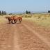 Tent Travels: Dusty road to a watery wonderland