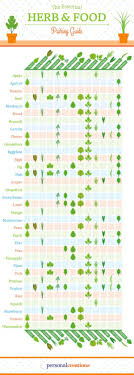 A Guide To Pairing Herbs With Your Food In 2019 Tips