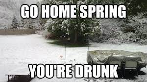 Go Home Spring You Re Drunk Go Home You Are Drunk Know Your Meme