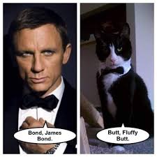 What's your favorite Flurry? 🍨🍦😋