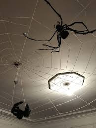 Pour faire une toile d'araignée, attends la fête d' épeire. Decoration D Halloween Tout Pour Une Fete Effrayante Ciloubidouille