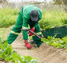 Bank Of Agriculture Nigeria Bank Of Agriculture Nigeria