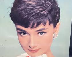 Audrey: A Life in Pictures by Carol Krenz, Biography of Audrey Hepburn in  Pictures, Copyright 1997, Vintage Hollywood Legend Memoir