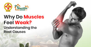 Image result for Muscle Weakness Causes