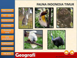 Maybe you would like to learn more about one of these? Persebaran Fauna Di Indonesia Ppt Download