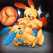 Rule34 - If it exists, there is porn of it  minun, plusle  7061083