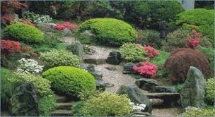 Plants Japanese Garden Japanese Garden Tea House Gardens Plants Planten The Japanes Japanischer Garten Anlegen Japanischer Garten Japanische Gartenpflanzen