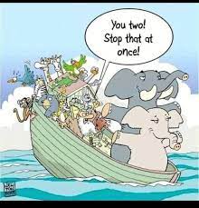 images?q=tbn:ANd9GcS2AJ-nKtb0ByujtvJ4miU8onoNh0ecYkXY6gEZXEz3y2KEApbARpgRI2TxcbC8N60Z7rc&usqp=CAU