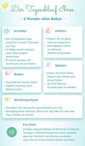 Die meisten babys schlafen mit etwa 6 monaten durch. Baby 2 Monat Entwicklung Schlafrhythmus Trinkmenge Pampers
