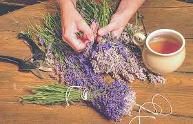 Dried flowers and herbs tucked into bags and pillows have a fragrance that will let you travel back to the glory days of your garden. Fafai Fragrance Flavour Association Of India